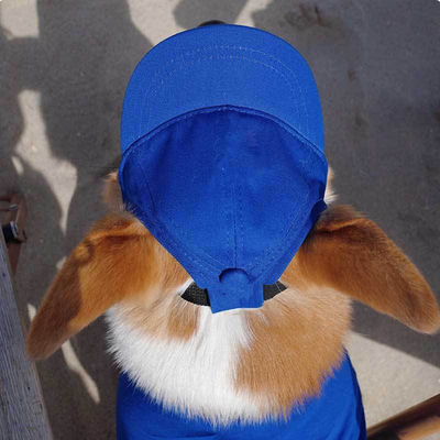 Pet Dog Outdoor Photography Leisure Sunshade Hat with Ear Holes Adjustable Corgi Baseball Cap