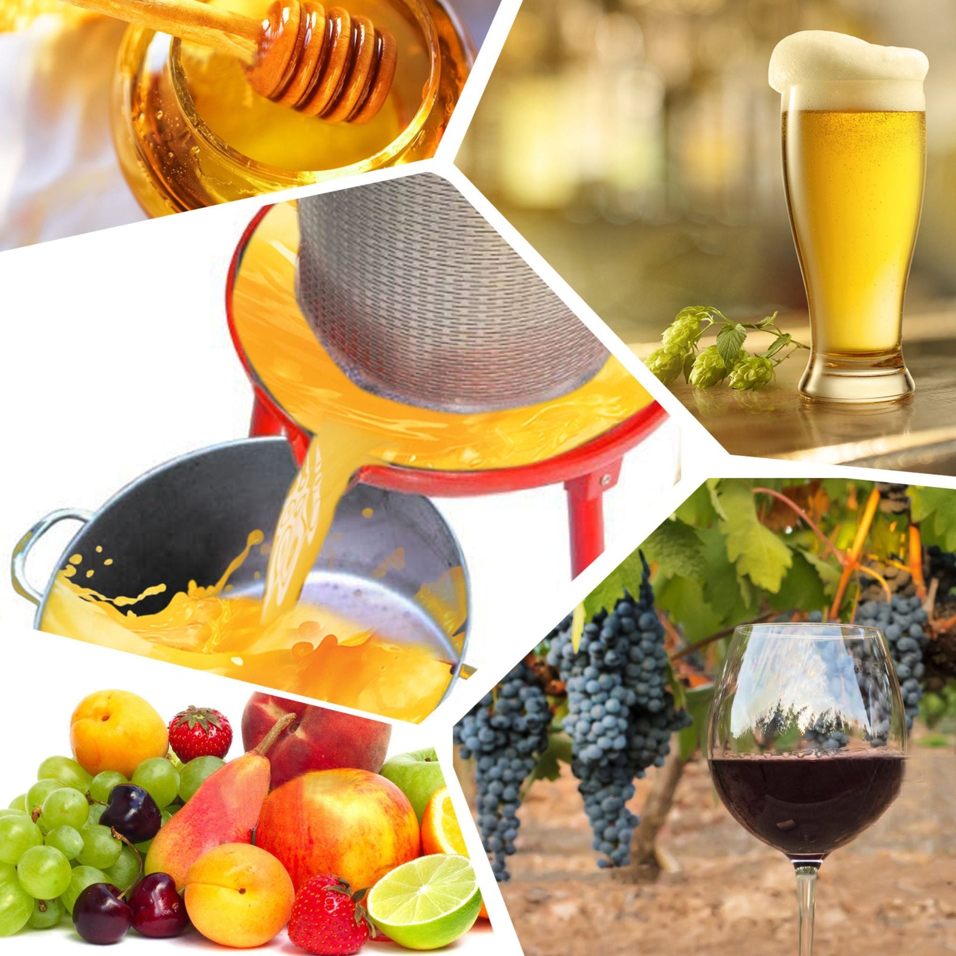 10 Gal Stainless Steel Hydraulic Fruit Wine Apple Press (SAK85622)