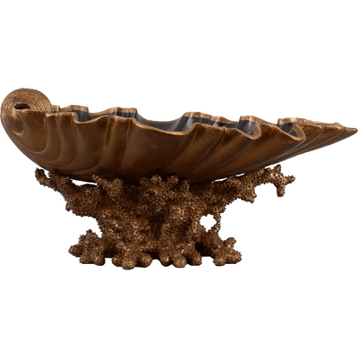 Seashell Basin -R