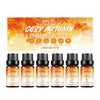 Autumn Essential Oil Set Indoor Warm Atmosphere Long-Lasting Warm Fragrance Soft Fragrance Humidifier Available
