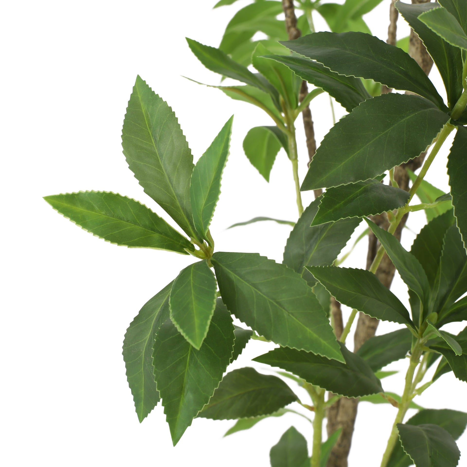 120CMARTIFICIAL PIERIS TREE