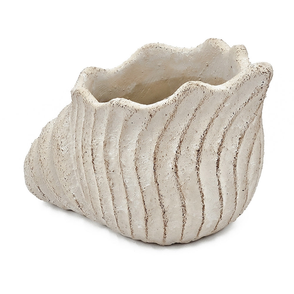 11.5x7x7' Sand and Cement Nautilus Shell Planter with Textured Beige Finish