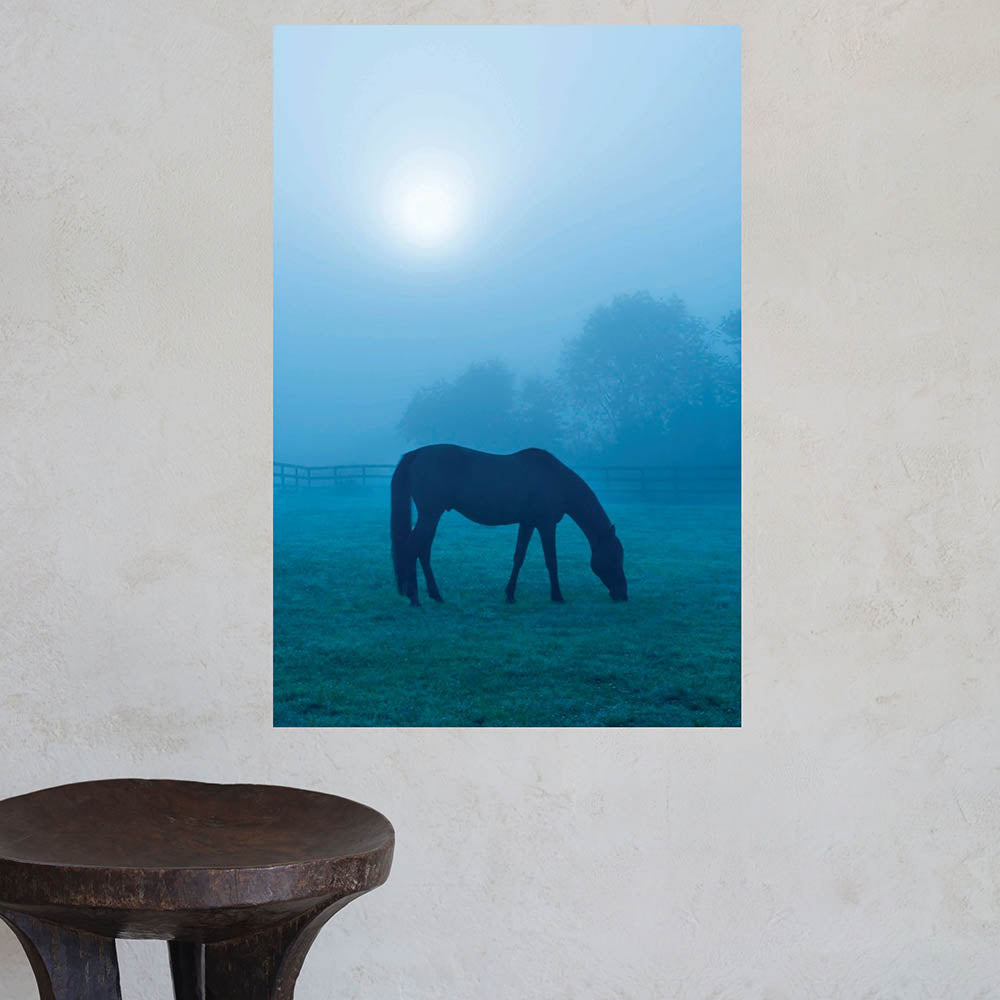 Morning Mist Horse Wall Decal (5 Sizes Available)