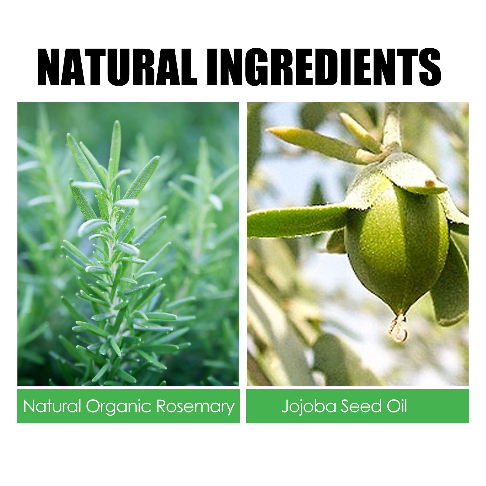 Rosemary Hair Care Nourish Hair Soft Fluffy Strong Moisturizing Root Hair Care Gift Set