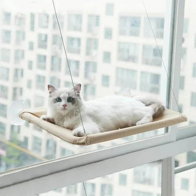 360° Cat Window Hammock: A Space-Saving Sunny Seat for Indoor Cats!