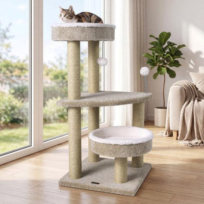 36