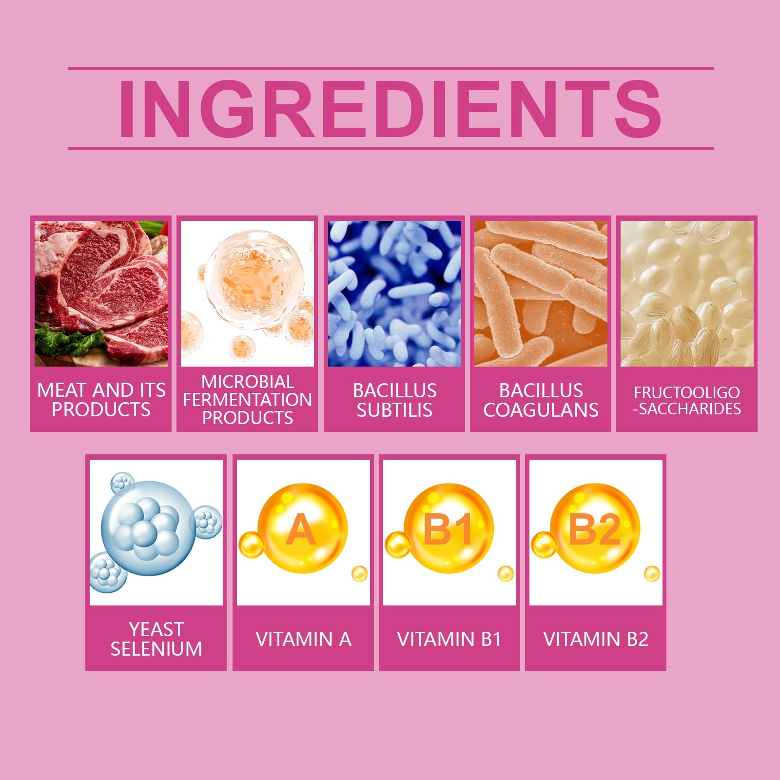 Dog Probiotic Tablets To Improve Intestinal Health, Balance Digestion And Absorption Of Pet Nutritional Supplements