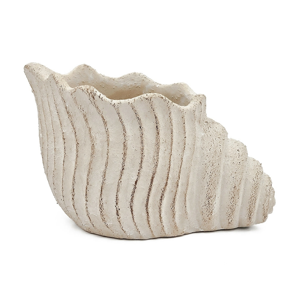 11.5x7x7' Sand and Cement Nautilus Shell Planter with Textured Beige Finish