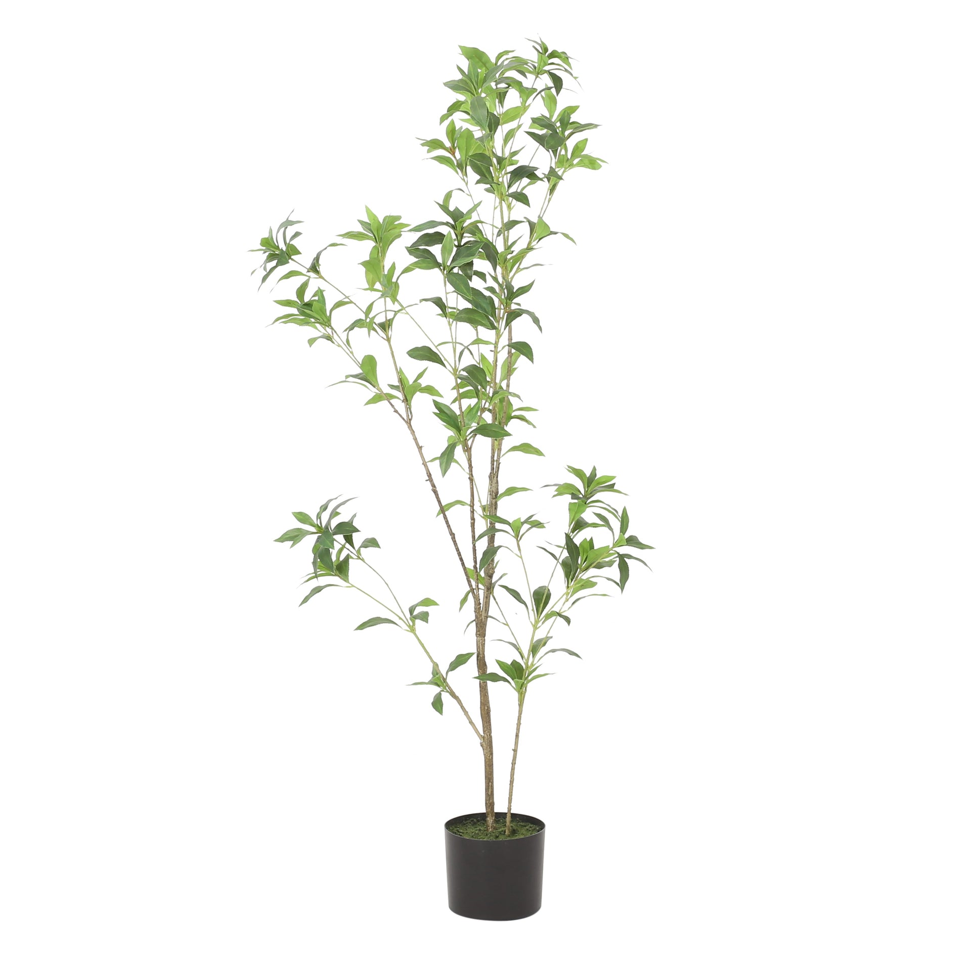 120CMARTIFICIAL PIERIS TREE
