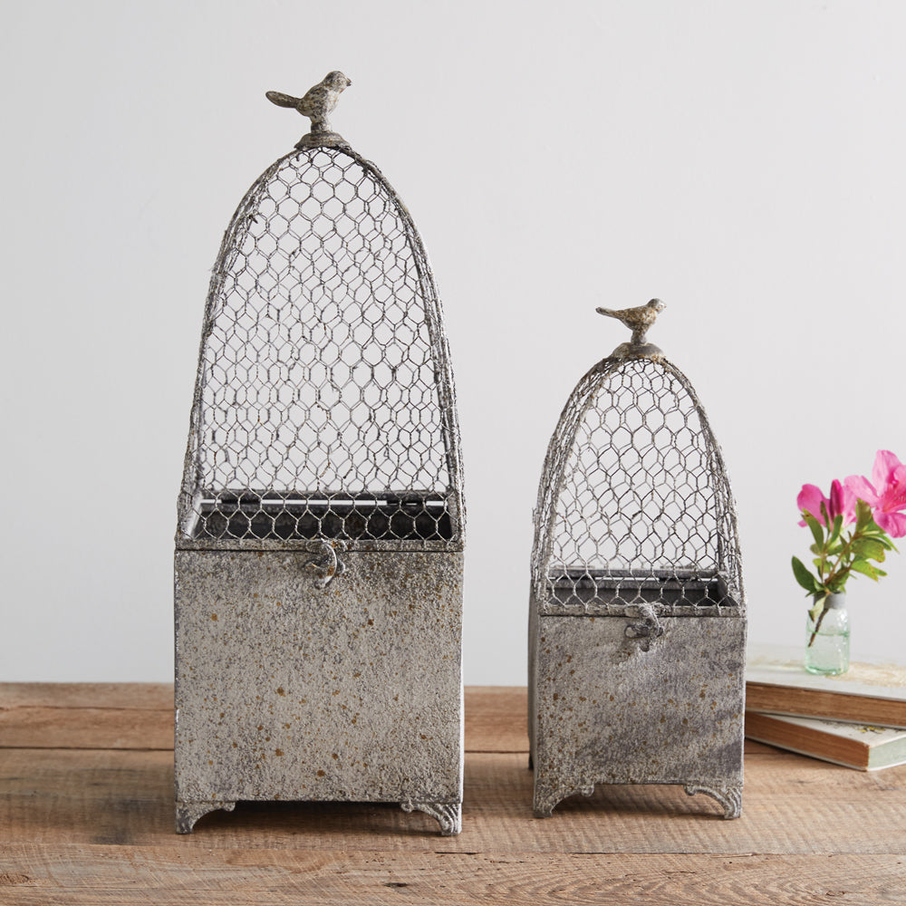 Set of Two Victorian Wire Cloches Planter