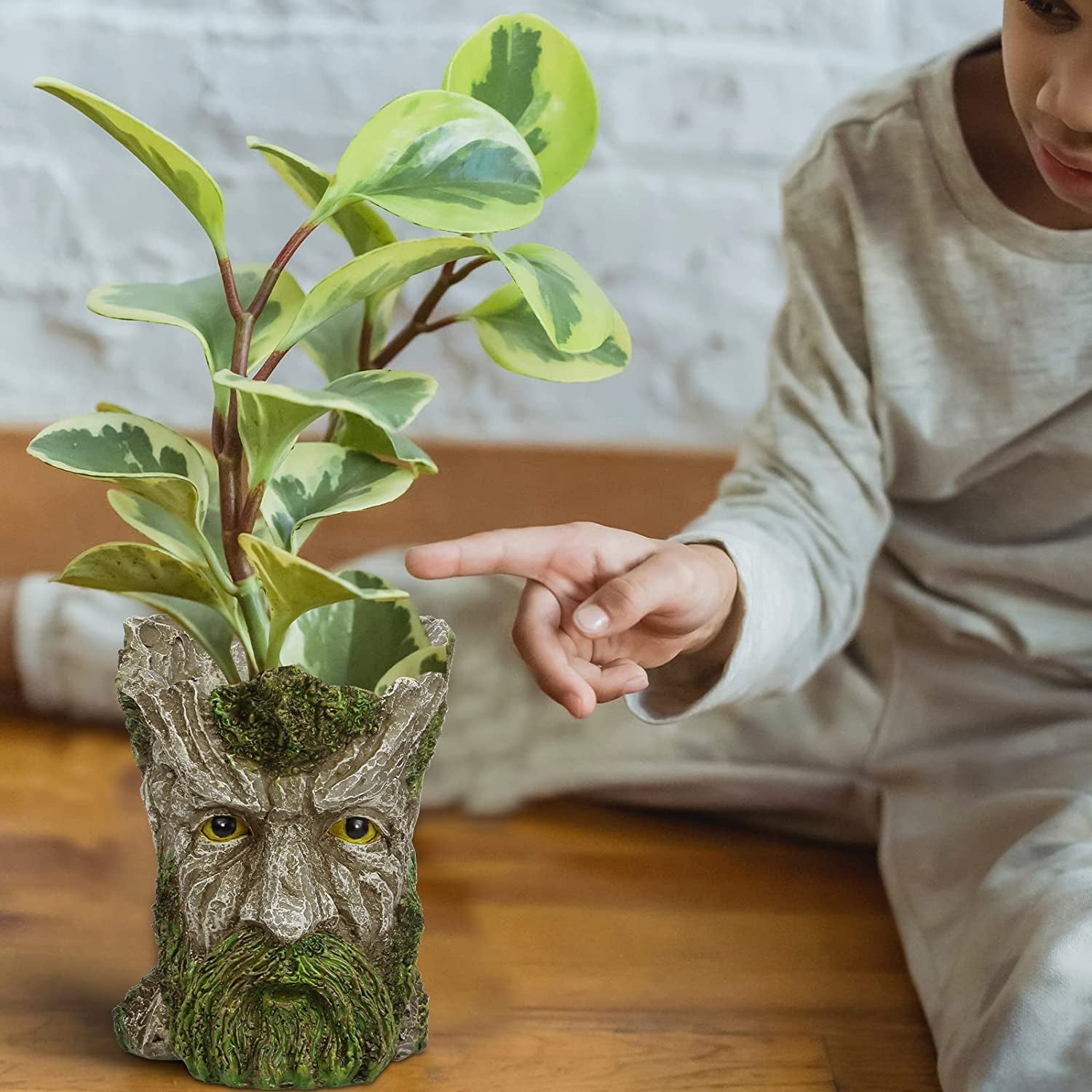 EIIORPO Tree Face Planter-Old Man Tree Face Garden Pots