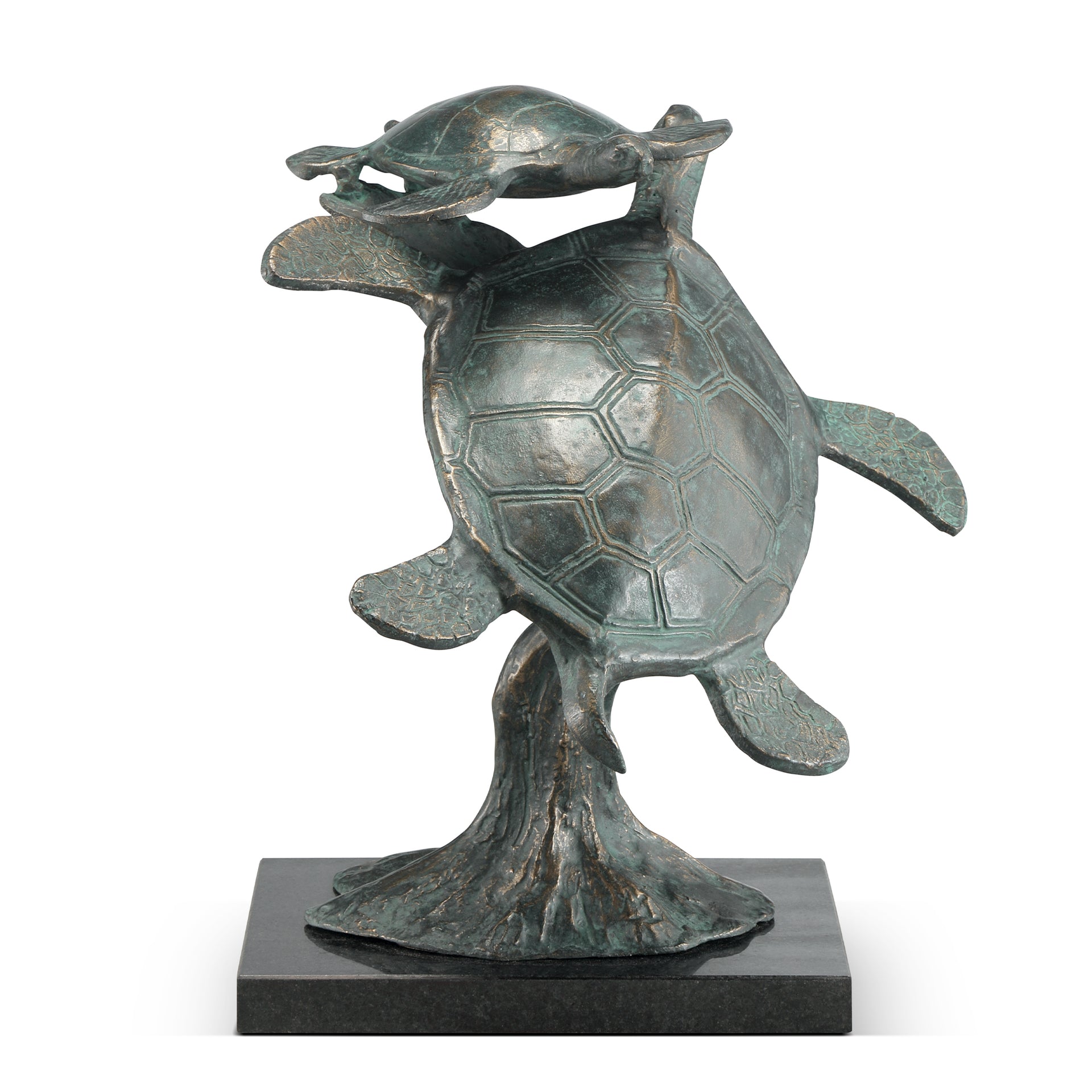 First Swim Parent and Child Sea Turtles