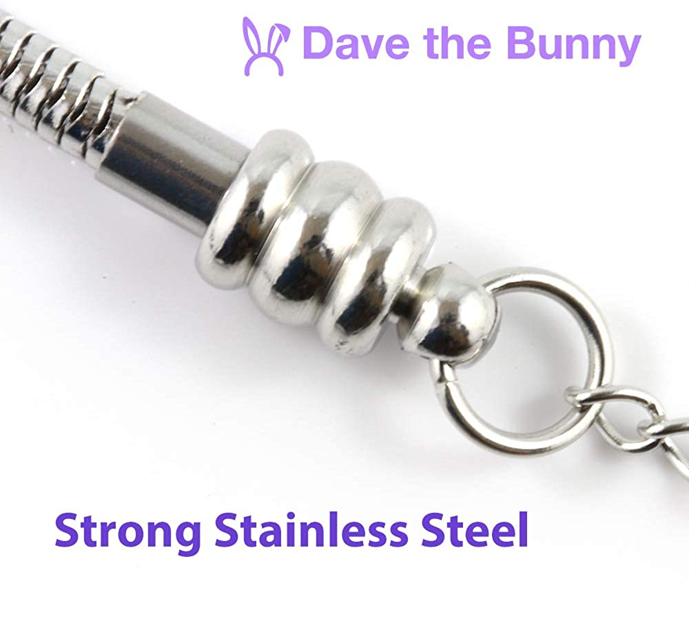 Coast Guard Bracelet | 1790 Stainless Steel Snake Chain