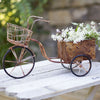 16½''H Vintage Delivery Tricycle Planter
