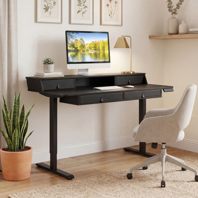 55 Inch x 27 Inch Electric Standing Desk with Drawers-Black