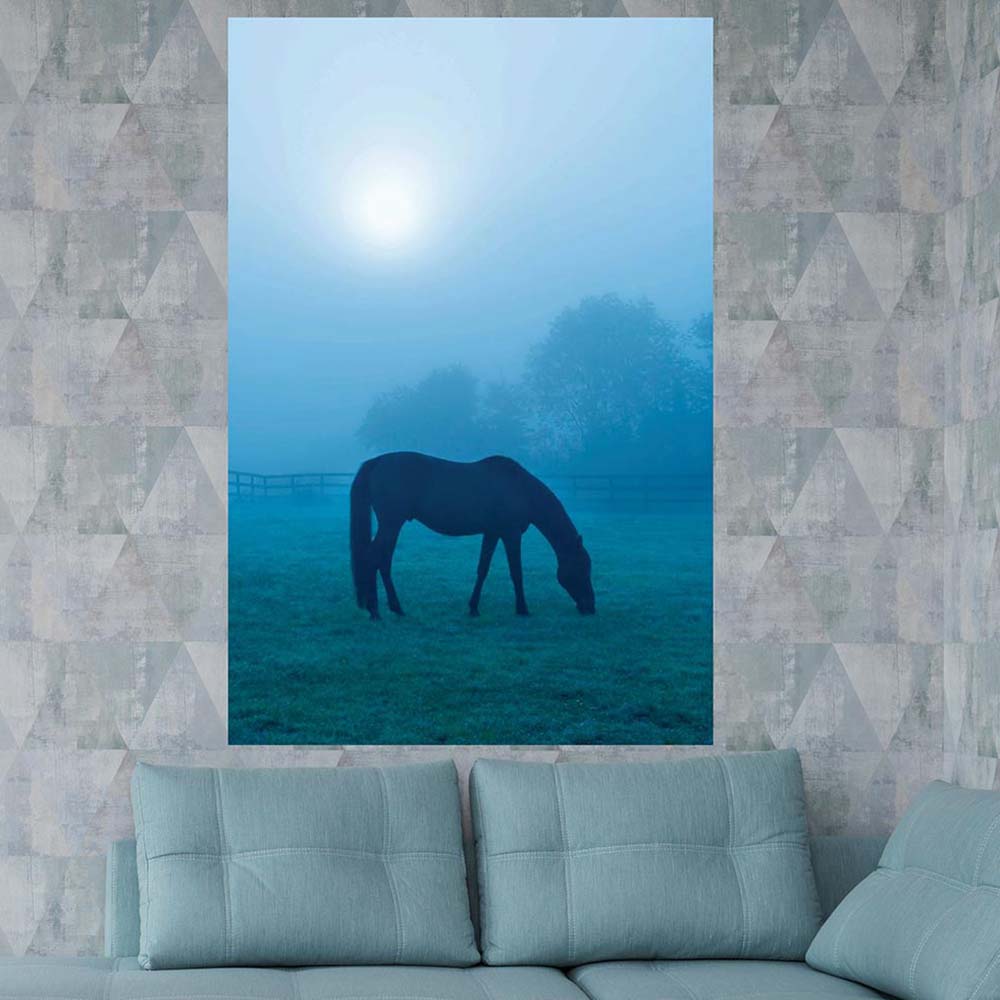 Morning Mist Horse Wall Decal (5 Sizes Available)