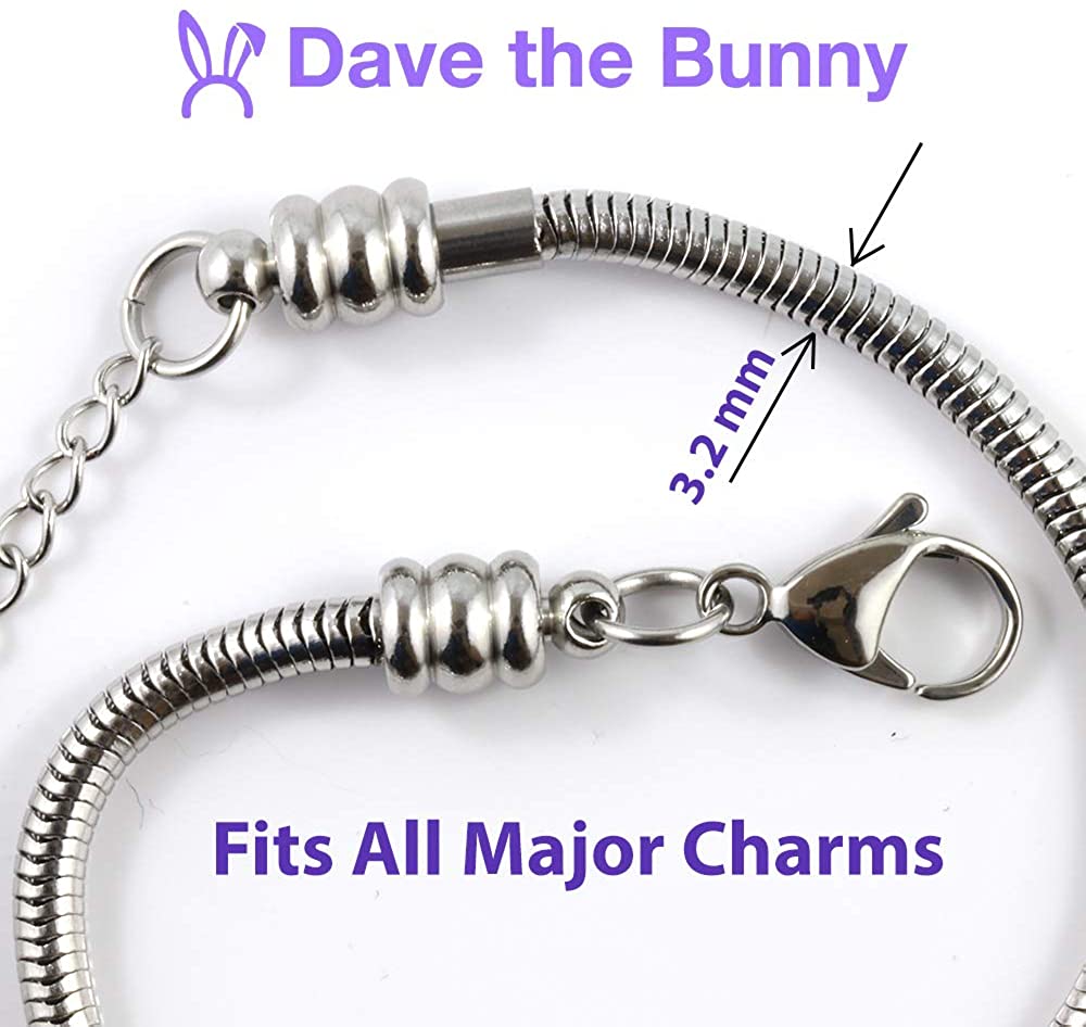 Diabetic Bracelet | Medical Alert Awareness Snake Chain Charm Bracelet for Men and Women Silver Plated Gift for Women and Men