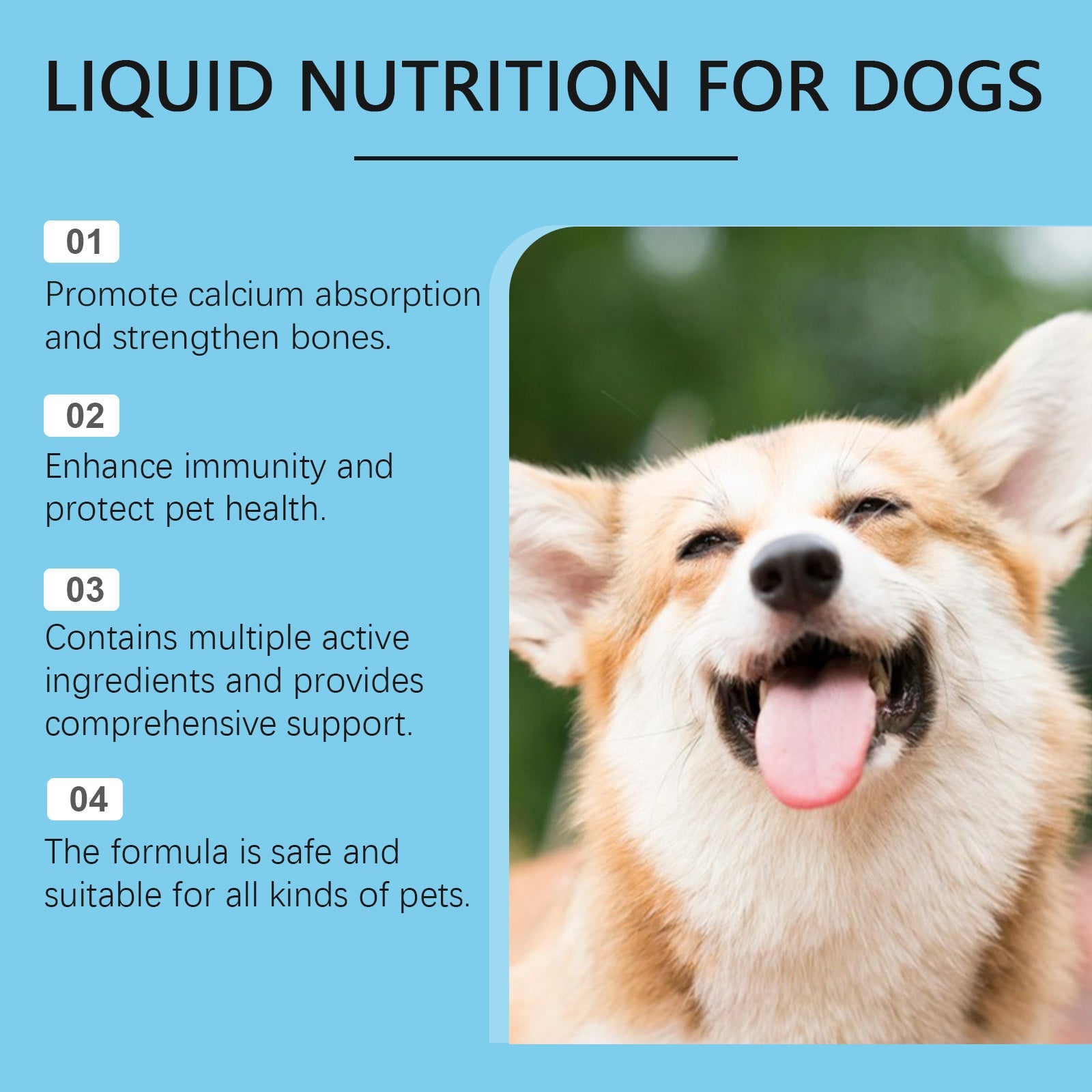 Pet Vitamin Supplement Drops Enhance Immunity And Promote Vitality Healthy Dietary Supplement Drops