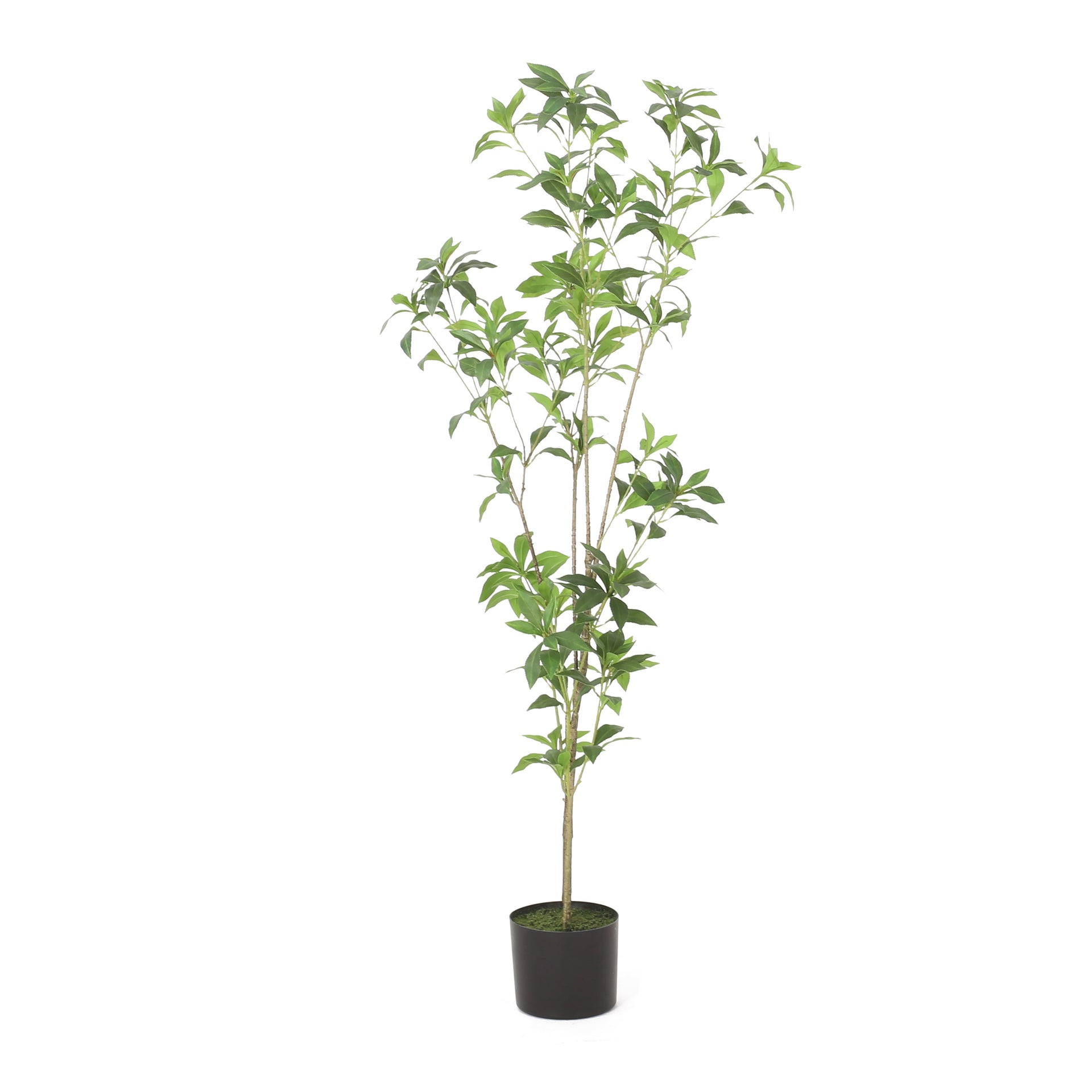 120CMARTIFICIAL PIERIS TREE
