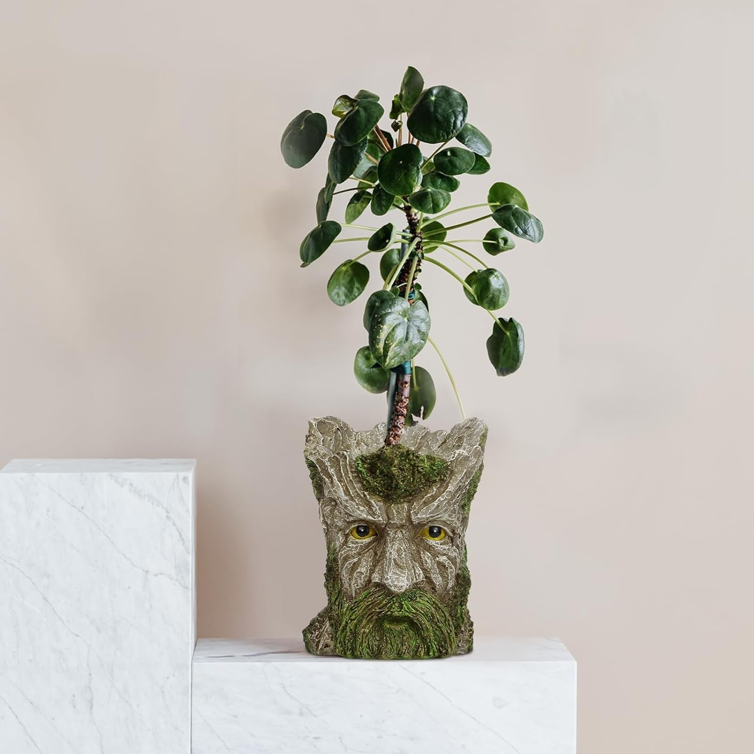 EIIORPO Tree Face Planter-Old Man Tree Face Garden Pots