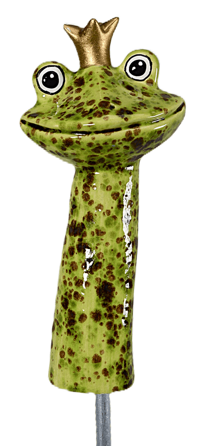 Frog Prince