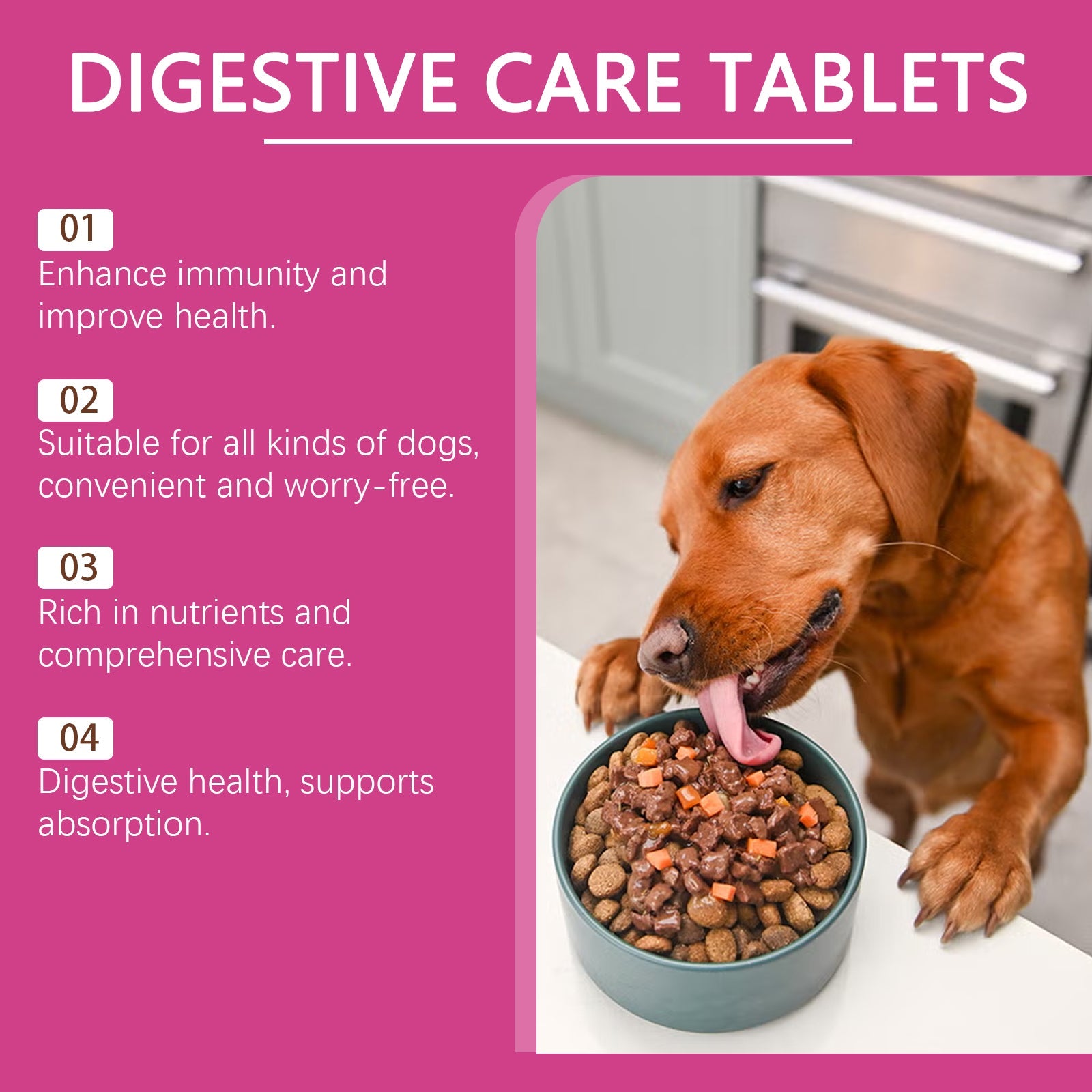 Dog Probiotic Tablets To Improve Intestinal Health, Balance Digestion And Absorption Of Pet Nutritional Supplements