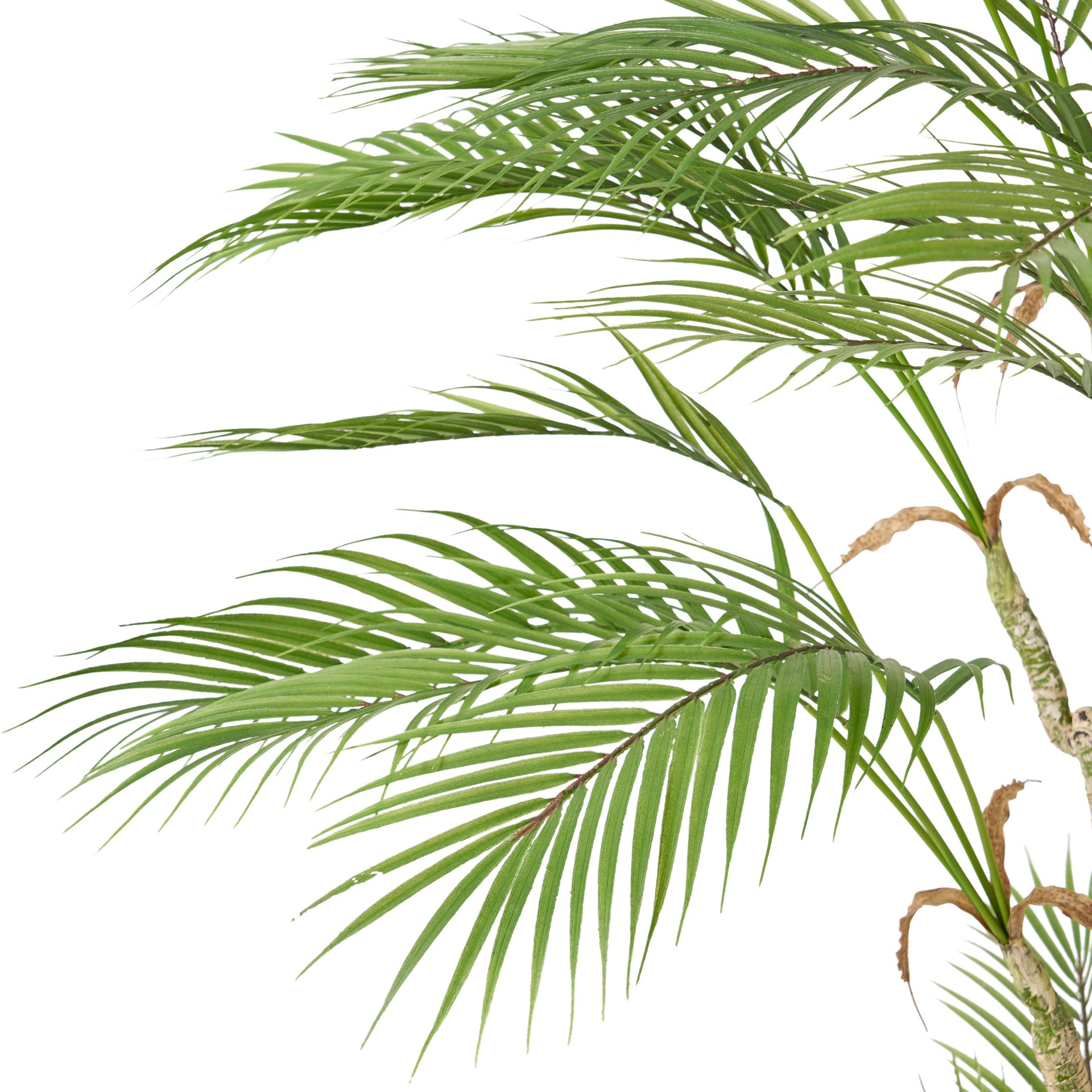 165CM ARTIFICIAL PALM TREE