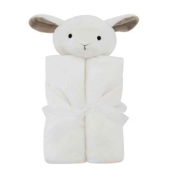 Cozy Baby Blanket with toy