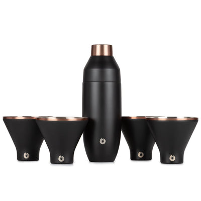 Stainless Steel Cocktail Shaker and Martini Glass Set, Black