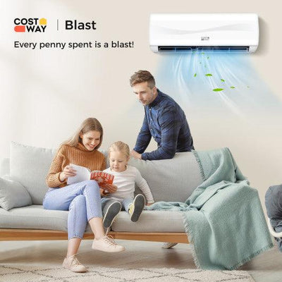 Blast Series 9000 BTU 17 SEER2 208-230V Ductless Mini Split Air Conditioner and Heater