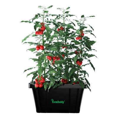 Self Watering Garden Box & GrowBox Planter System