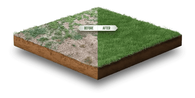 Shieldscape Hybrid Turf
