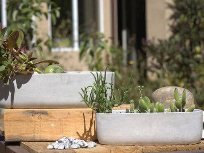 Low Oval Concrete Planter By Plantatorem