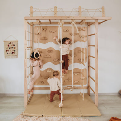 Monkey Bars Jungle Gym