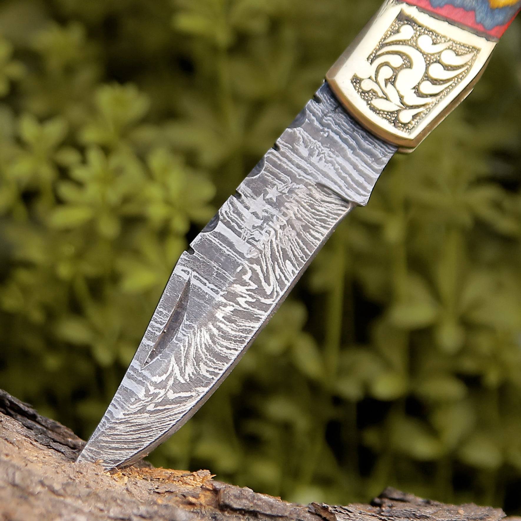 Expedition Damascus Folding Hunting Knife with Exotic Rose Wood & Brass Handle