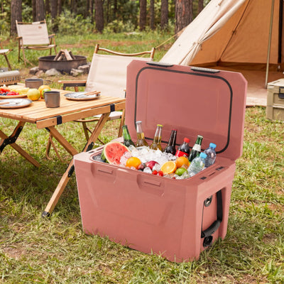 Insulated Portable Cooler Hard Shell Ice Chest with 2 Cup Holders Bottle Opener and Drain Plug-Pink