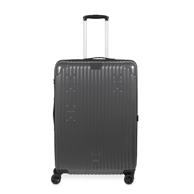 Check-In Luggage