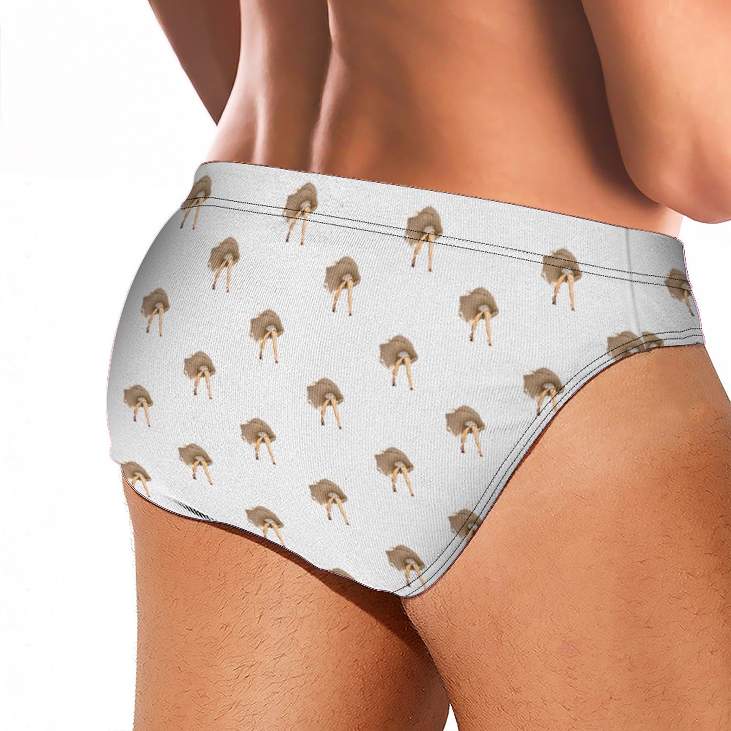 Hollywood Heat Swim Brief - White