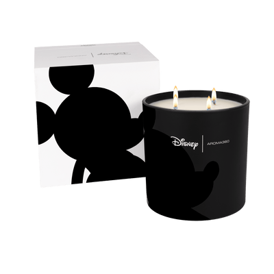 Started With A Mouse 4-Wick Candle