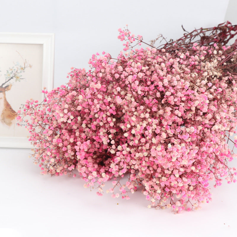 1 Bundle Dried Baby's Breath Gypsy Flowers for Wedding Floral Arrangement Home Party Decor