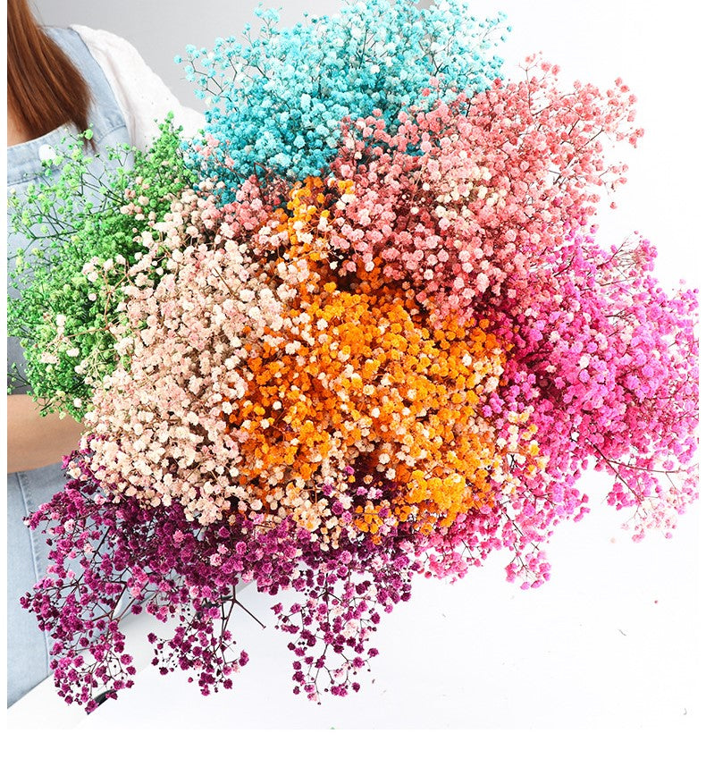 1 Bundle Dried Baby's Breath Gypsy Flowers for Wedding Floral Arrangement Home Party Decor