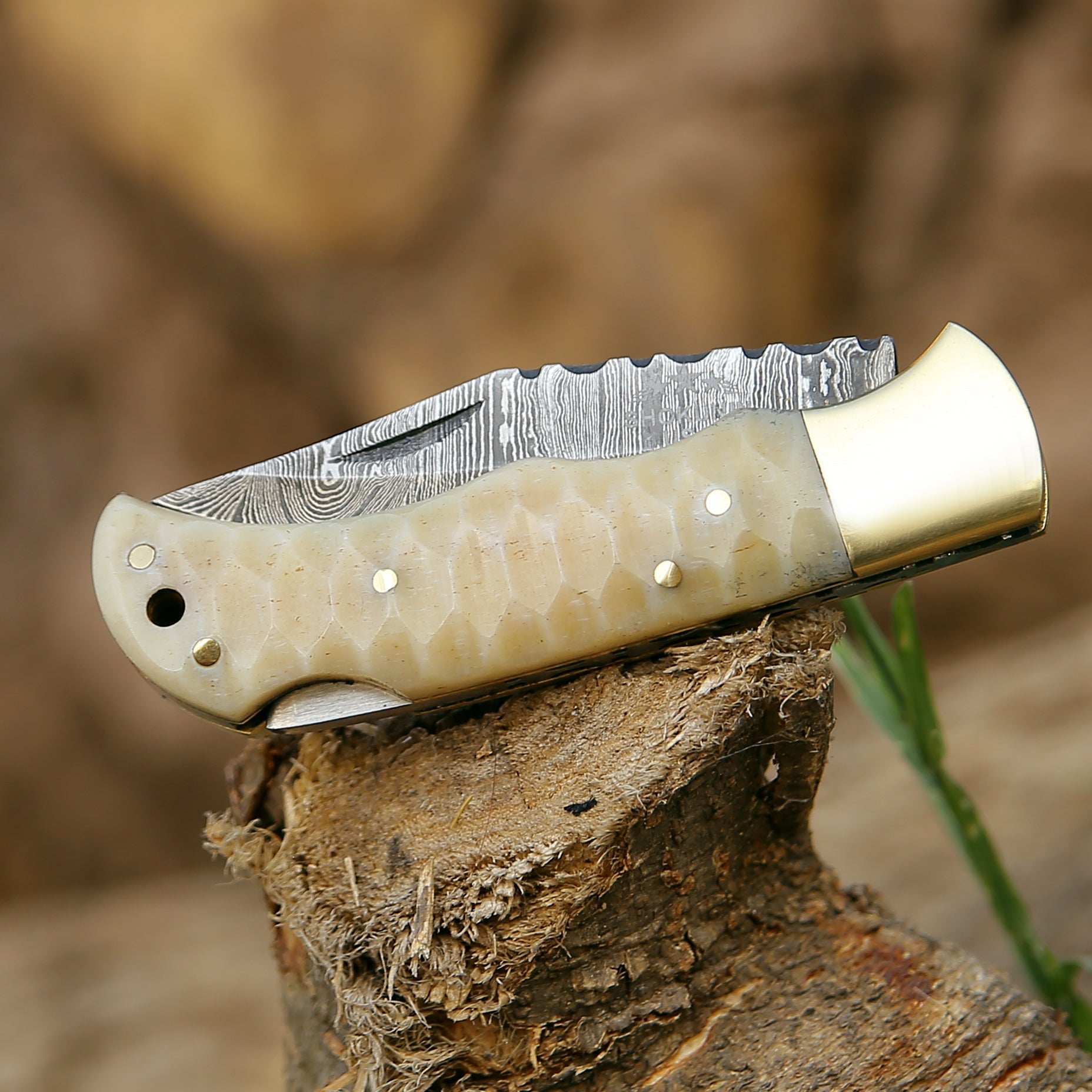 Phoenix Pocket Knife with Forged Bone Handle