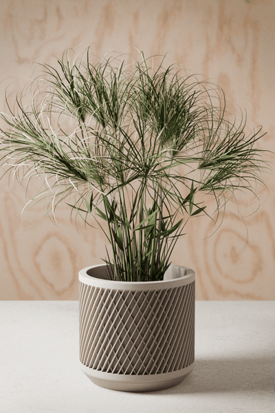 Weave Planter