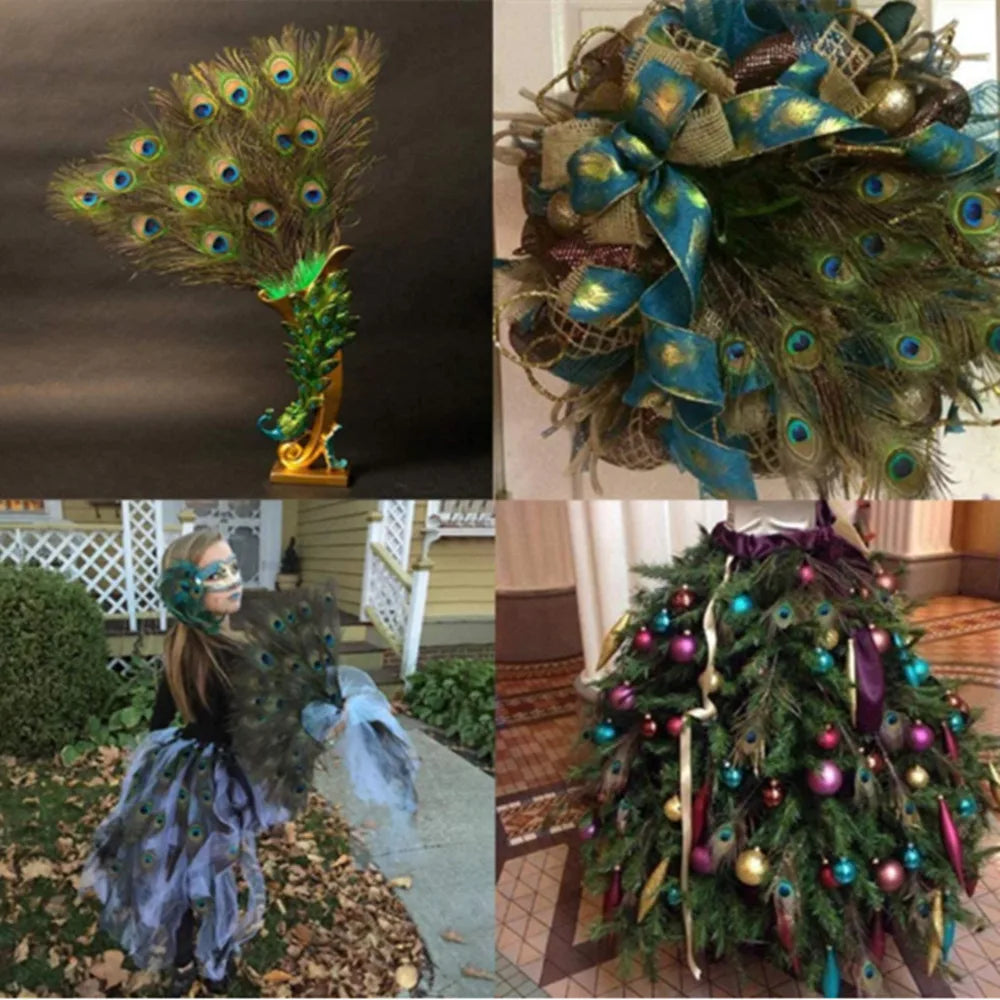 10/20/50PCS Natural Big Eyes Peacock Feathers 25-65CM for Wedding Home Table Center Vase Decoration Accessories Crafts Plume
