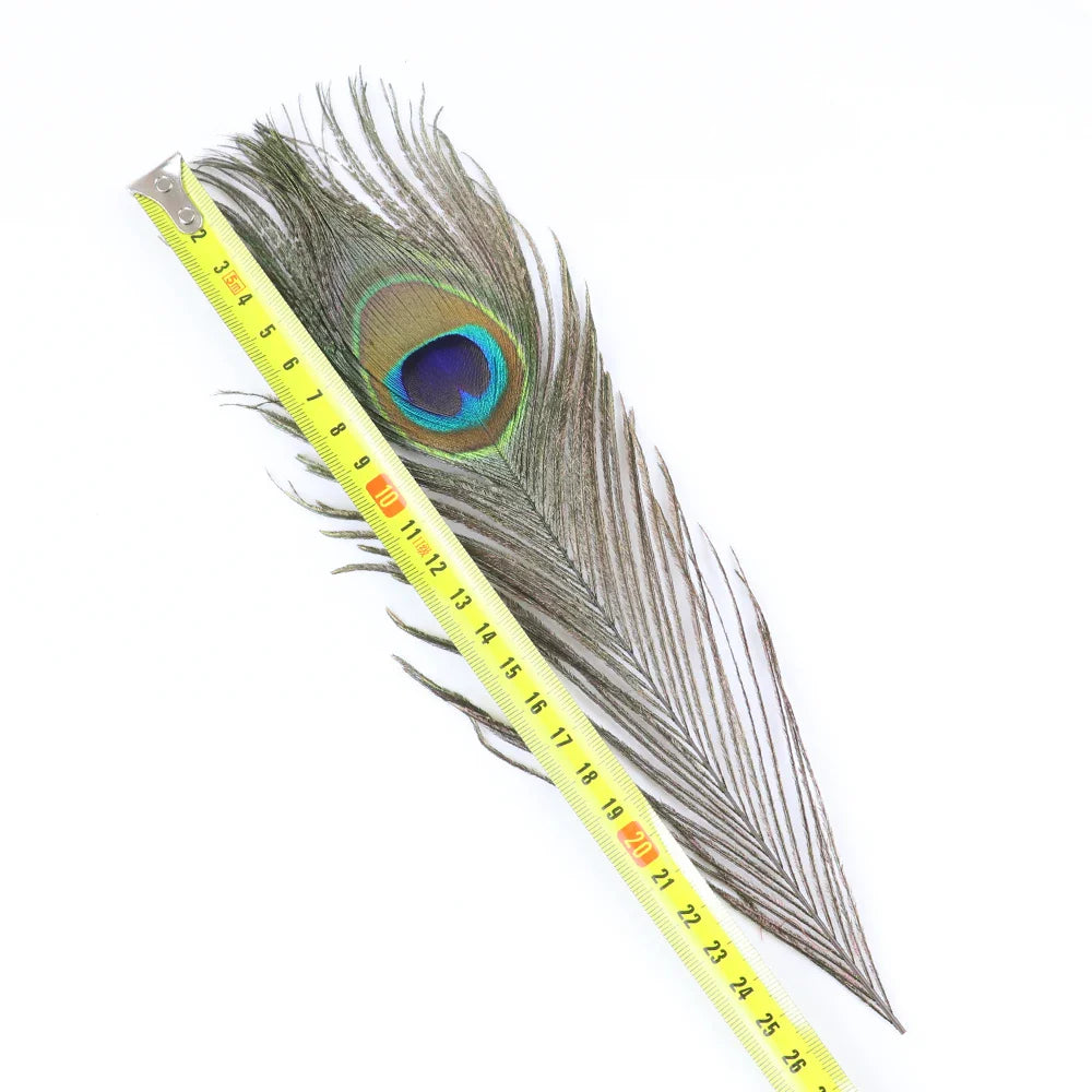10/20/50PCS Natural Big Eyes Peacock Feathers 25-65CM for Wedding Home Table Center Vase Decoration Accessories Crafts Plume