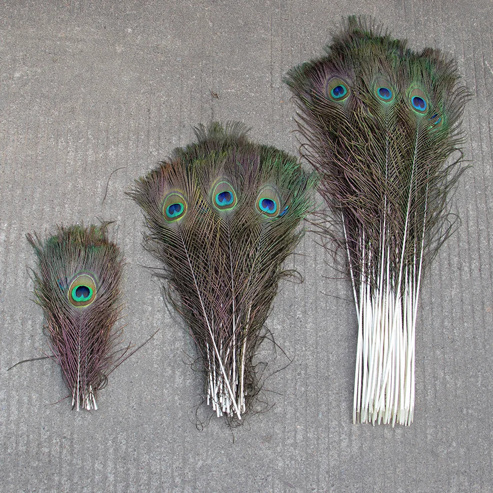 10/20/50PCS Natural Big Eyes Peacock Feathers 25-65CM for Wedding Home Table Center Vase Decoration Accessories Crafts Plume
