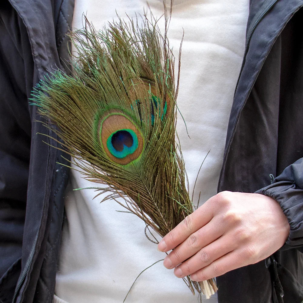 10/20/50PCS Natural Big Eyes Peacock Feathers 25-65CM for Wedding Home Table Center Vase Decoration Accessories Crafts Plume