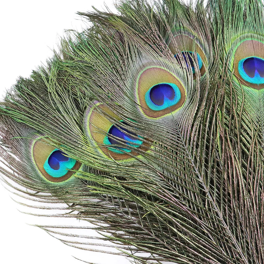 10/20/50PCS Natural Big Eyes Peacock Feathers 25-65CM for Wedding Home Table Center Vase Decoration Accessories Crafts Plume