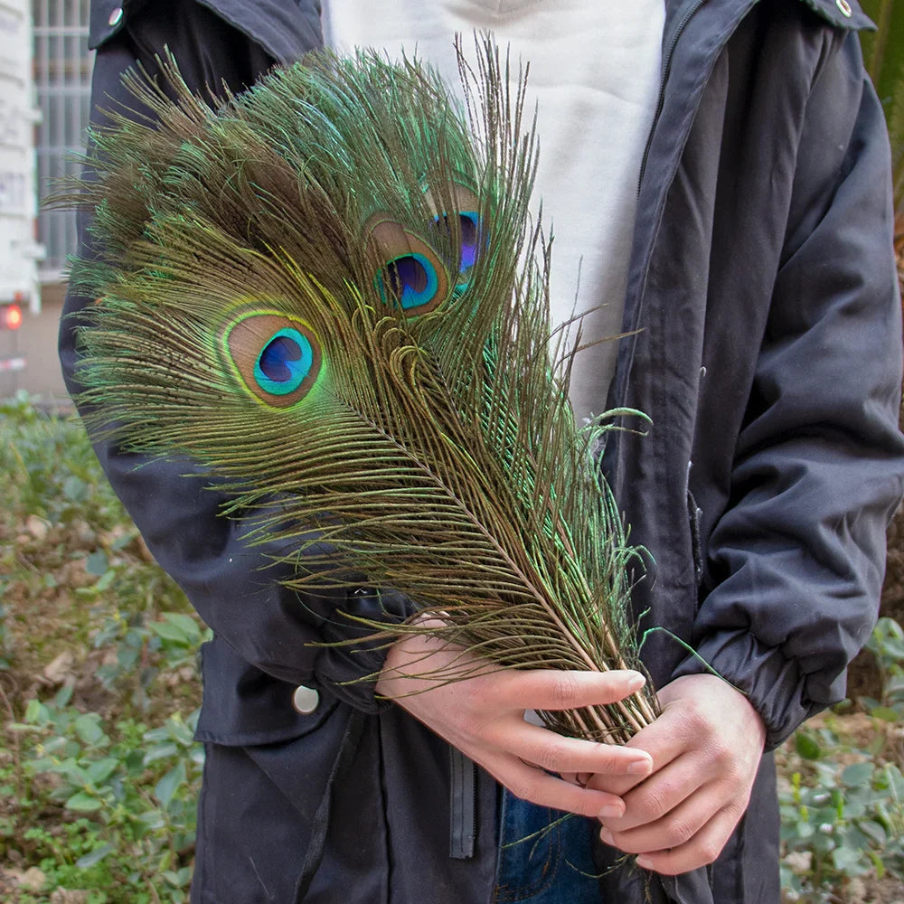 10/20/50PCS Natural Big Eyes Peacock Feathers 25-65CM for Wedding Home Table Center Vase Decoration Accessories Crafts Plume