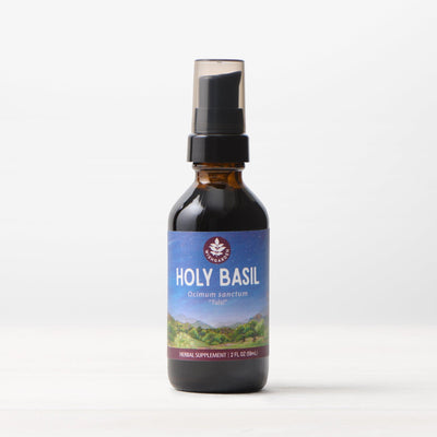 Holy Basil